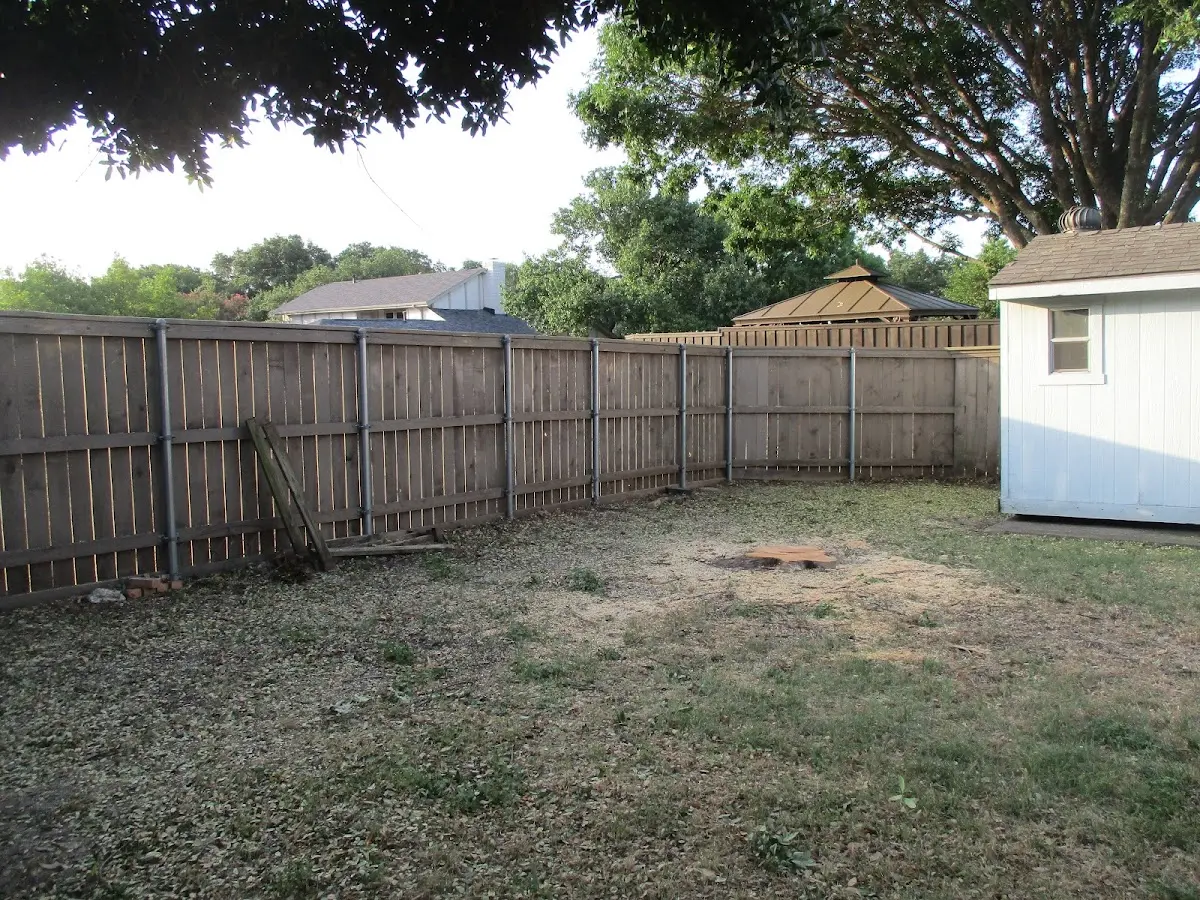 Cleared yard after professional tree removal in Fontana