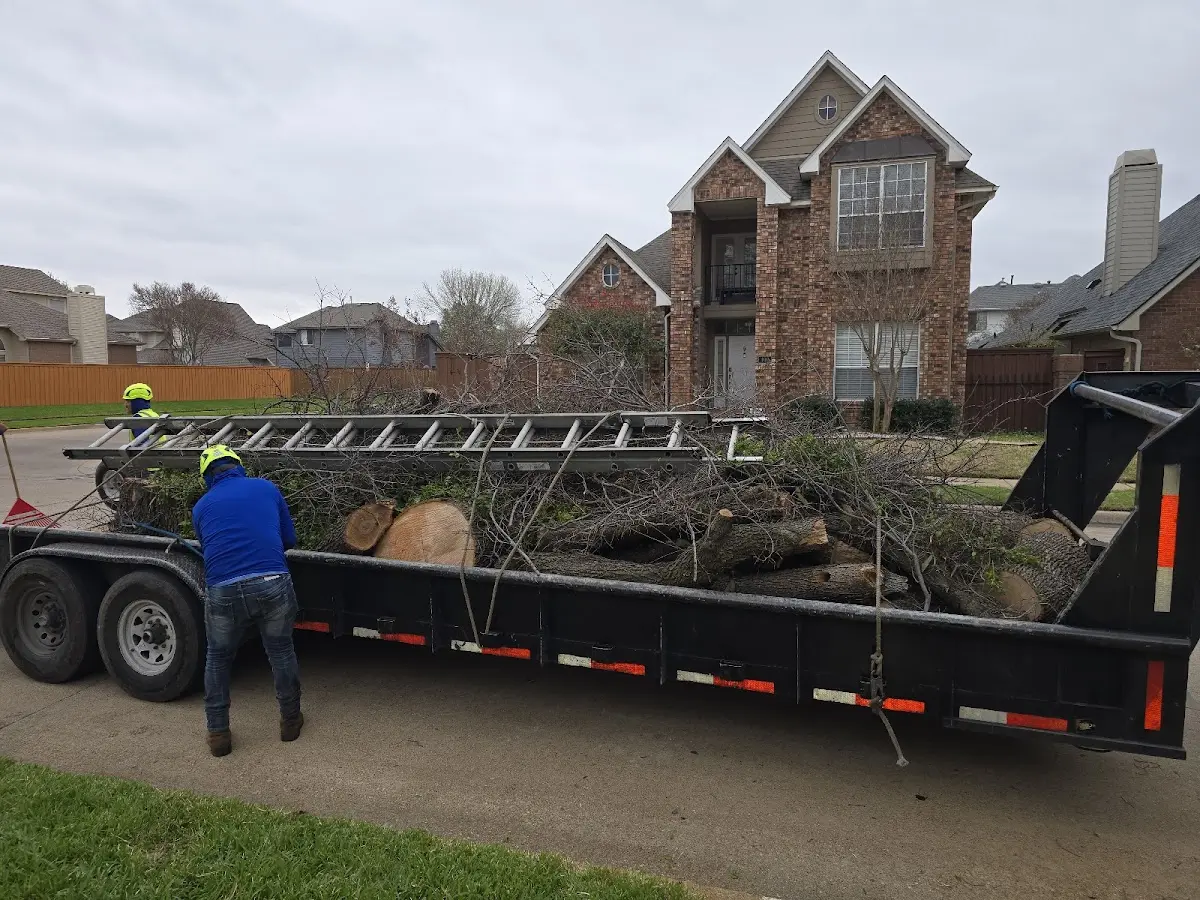 Expert Tree Pest Control with proper safety equipment in Fontana